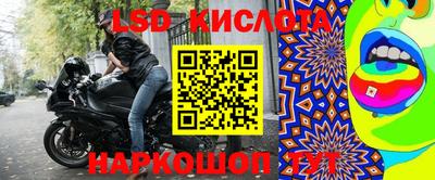 стаф Донской