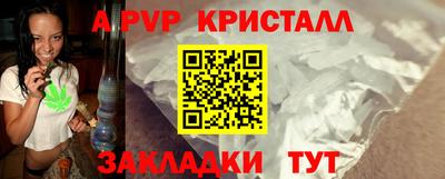 стаф Донской