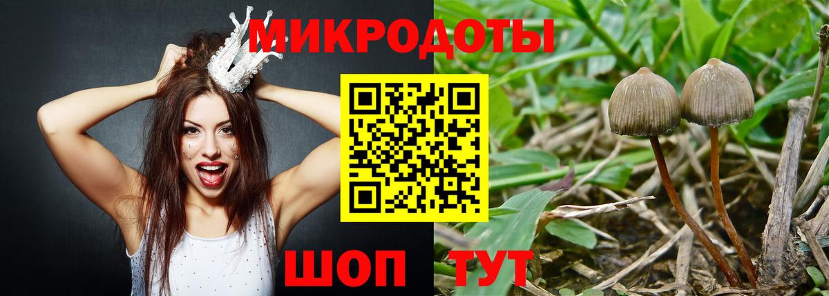 Галлюциногенные грибы мухоморы  Вход с VPN  где продают   Муром 
